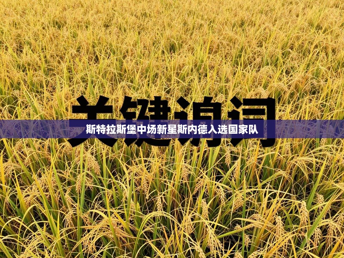 斯特拉斯堡中场新星斯内德入选国家队