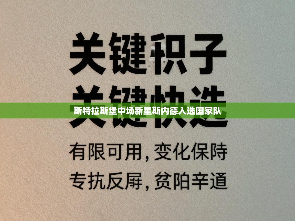 斯特拉斯堡中场新星斯内德入选国家队 第2张
