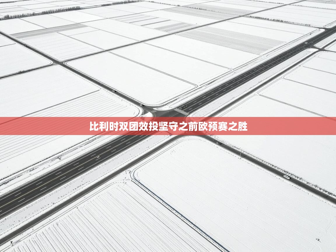 比利时双团效投坚守之前欧预赛之胜  第2张