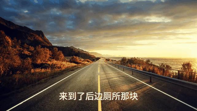 包含猛龙主帅遭球员抵制，风波不断的词条