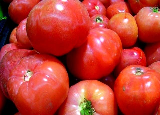 东契奇6月起实行间歇性禁食饮食计划，减少炎症&提升恢复